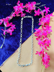 Silver Chain