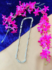 Silver Chain